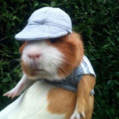 x “eardrumbum” x