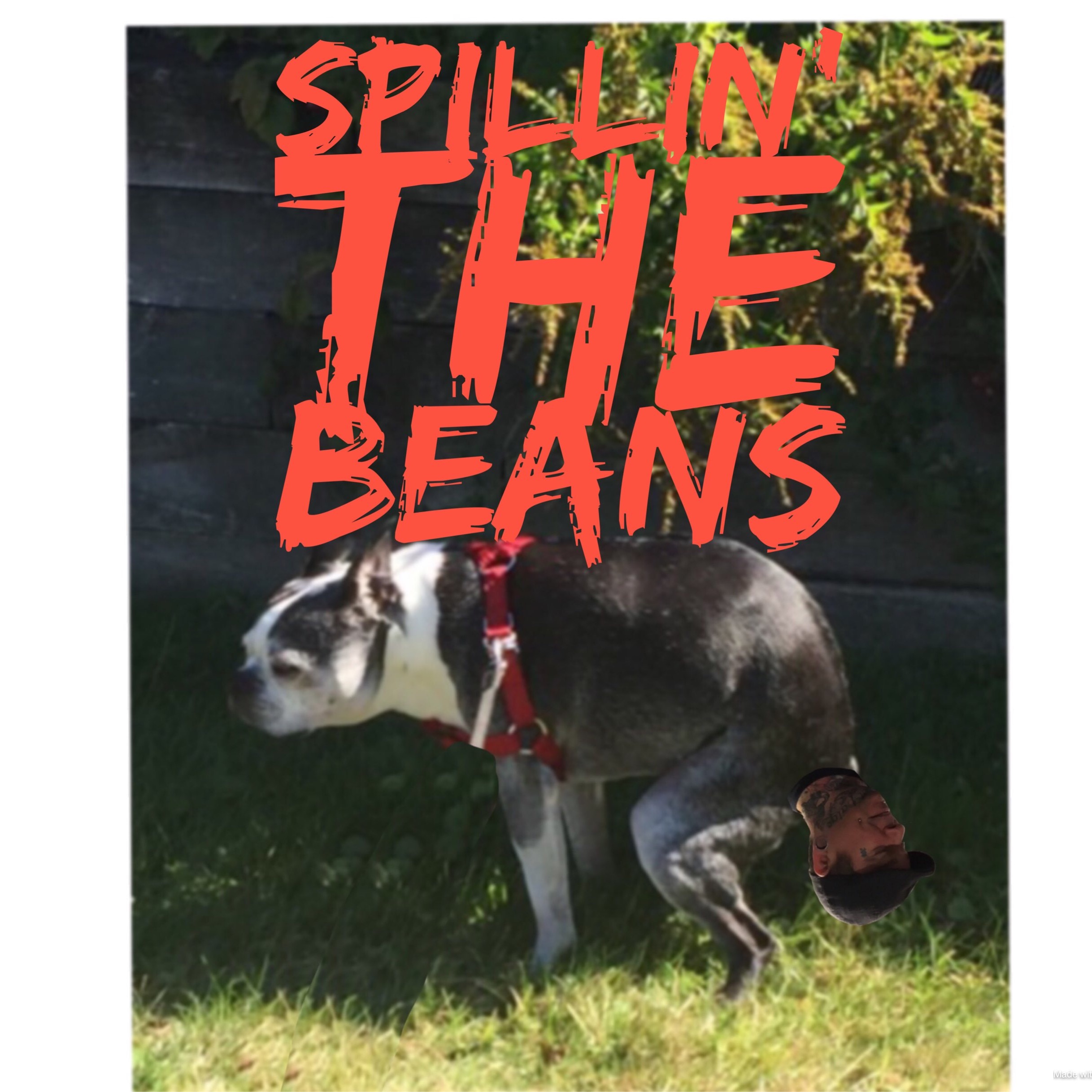 Spillin’ the beans