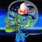 Loopwalker