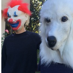 Where Are Ze Zoo Animals