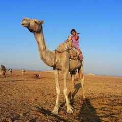 AHMED SAAD