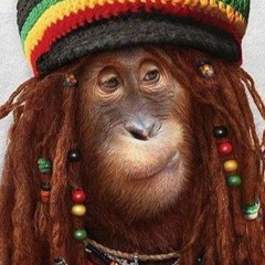 Smokie496 plays bush chemist& king generall