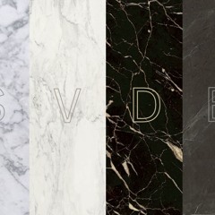 Sebastiaan Van den Branden