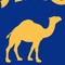 Camel 19's