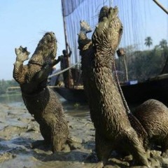 La Loutre