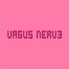 VAGUS NERV3