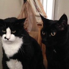 Rock rimmon Blues band