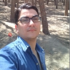 Alireza Mansouri