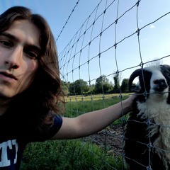 Josh "Boodasac" Boyd