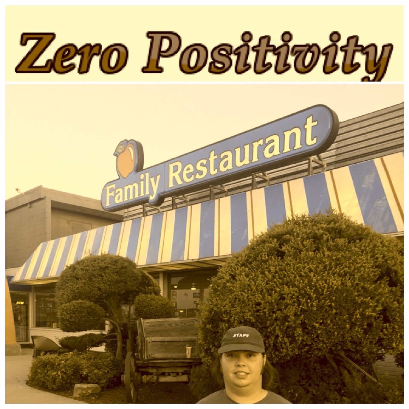 Zero Positivity cover