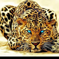 Mary Rose Van Braeckel