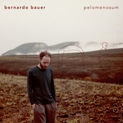 Bernardo Bauer