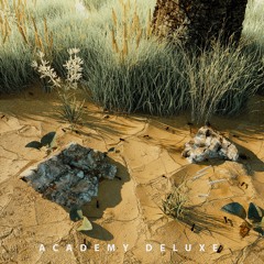 Academy Deluxe