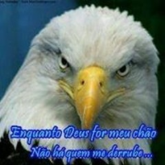 funk rasteiro