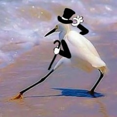 the_ol_razzle_dazzle