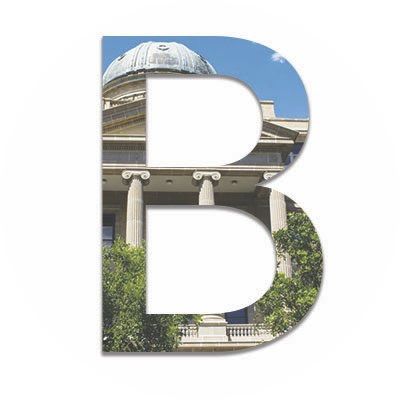 The Battalion