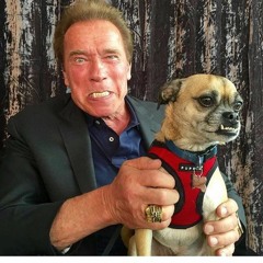 Barking Ape