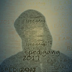 RGR.TRACKHUNTERS OFFICIAL MUSIC PAGE