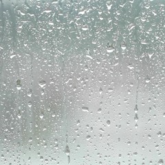 Los Escapistas de la Lluvia