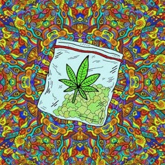 ItsThatOnePotHeadRaver