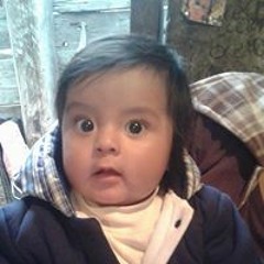 Jose Luis Carguacundo