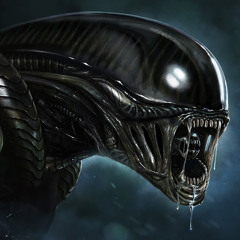 Yautja & Xenomorphs