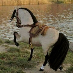 عمرو الجوكر