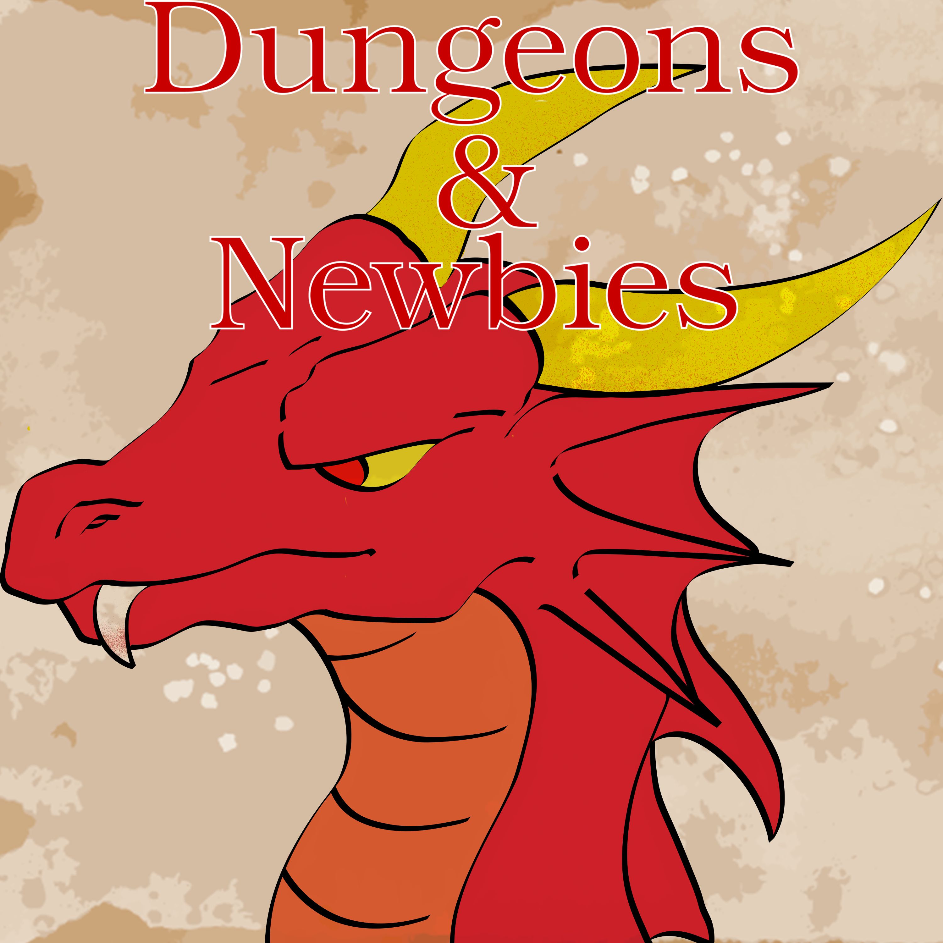 Dungeons & Newbies