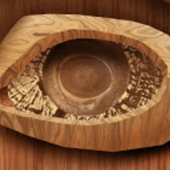 wood eye
