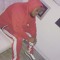 MannyLyriq