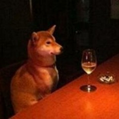 zoobros - dubstep test