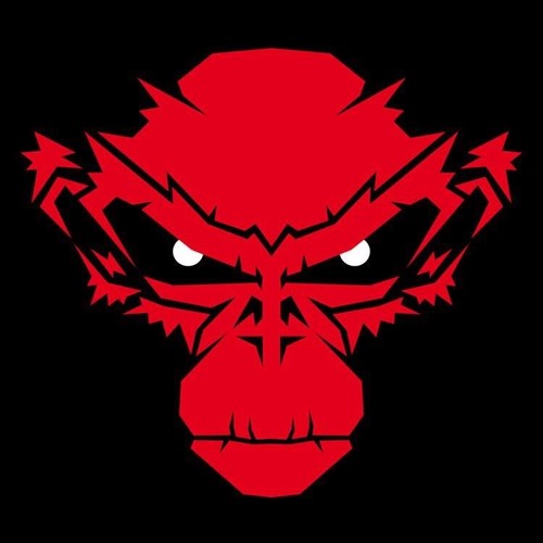 Monkey Dub Recordings — artist photo