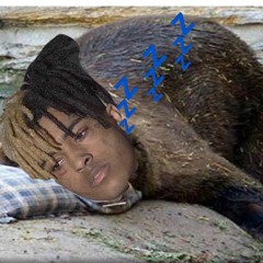 XXXHIBERNATION 😪✨