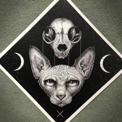 D.N.K. ZomBeatz Production