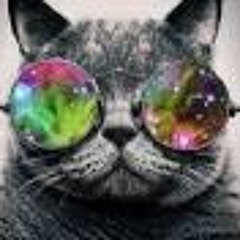 User 960905268