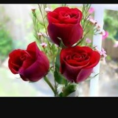 User 233530948