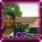 Dorothy Scott