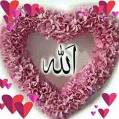 Malk Rohy