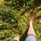 Wrark