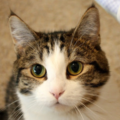 ながのなーさん