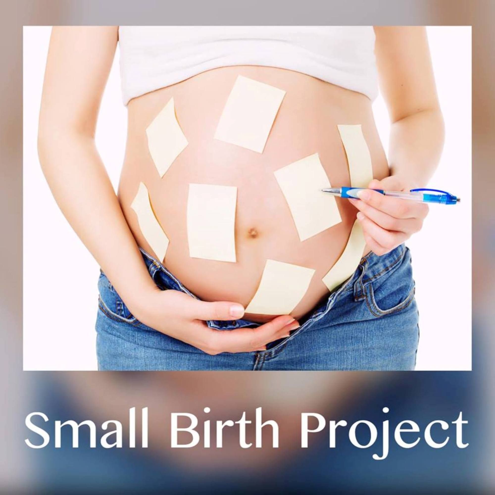 Small Birth Project