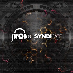 Prog On Syndicate Rec.