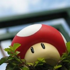 Daniel Felipe Yopasa