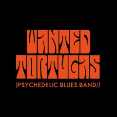 Wanted Tortugas (Psychedelic Blues Band)!