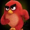 User 20925302