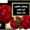 ام معاد سعيد