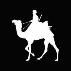 صالحة - ازهري محمد علي