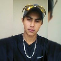 Brandow Lara Vaz