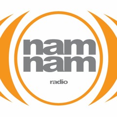 Radhini - Hampir Jadi