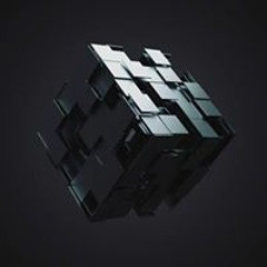 Robin_110